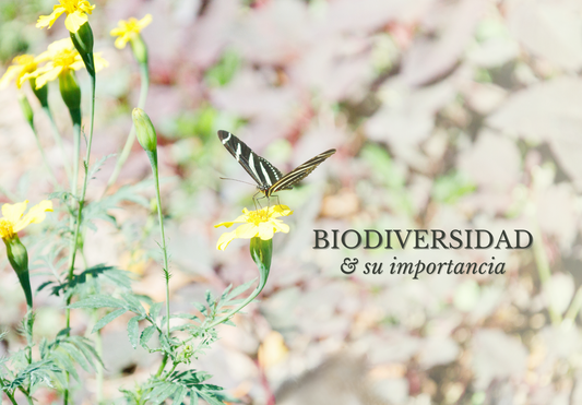 LA BIODIVERSIDAD