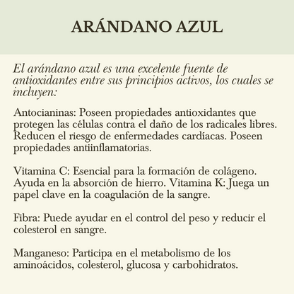 A. REFILL CONCENTRADO DE ARÁNDANO AZÚL