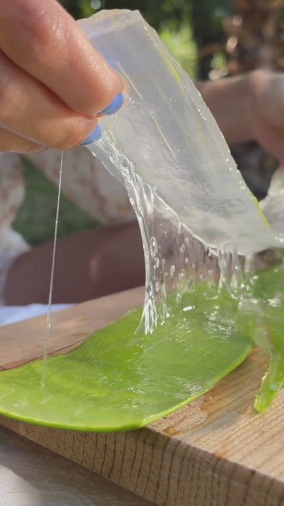 a. KIT DOS PULPAS PULPAS DE ALOE VERA ORGÁNICO